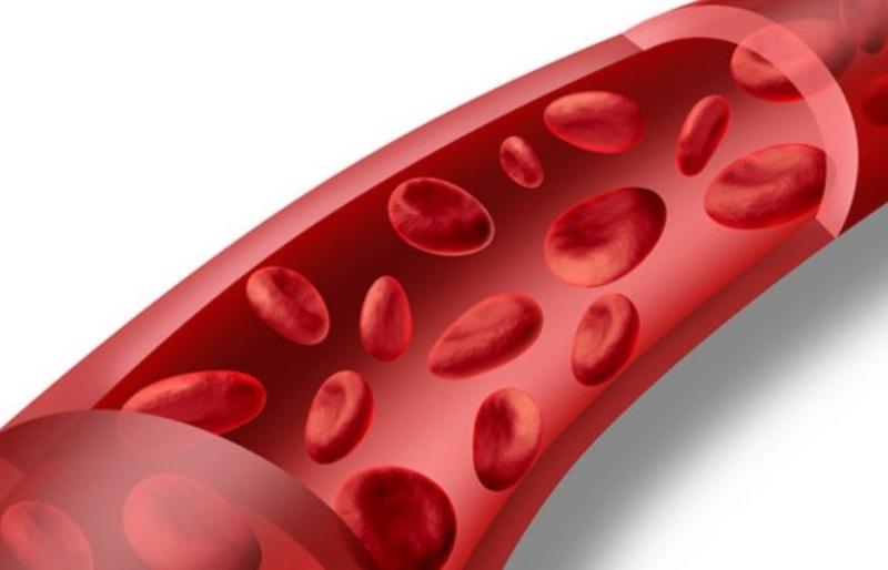 Кровь в сосуде Кровь в сосуде