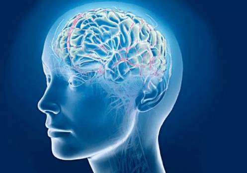 болит голова и лицо