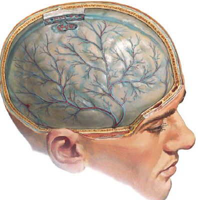 Температура и болит правая сторона спины