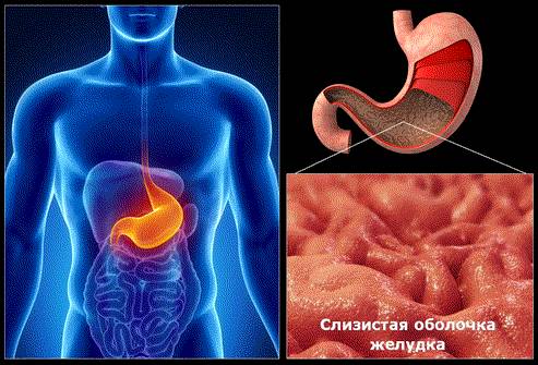 Болит спина после еды что это
