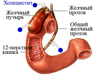 Часто болит правый бок и отдает в спину