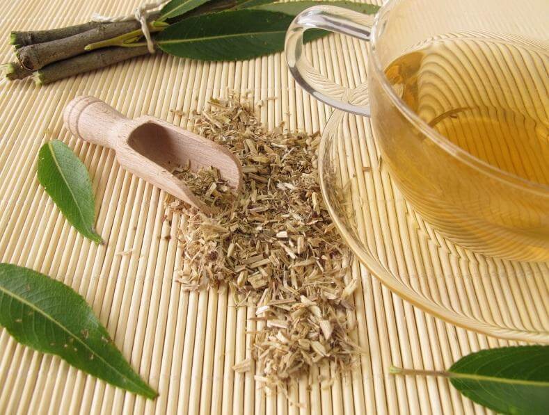 Отвар из ивы