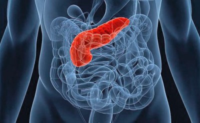 У меня болит справа спина где ребра что это