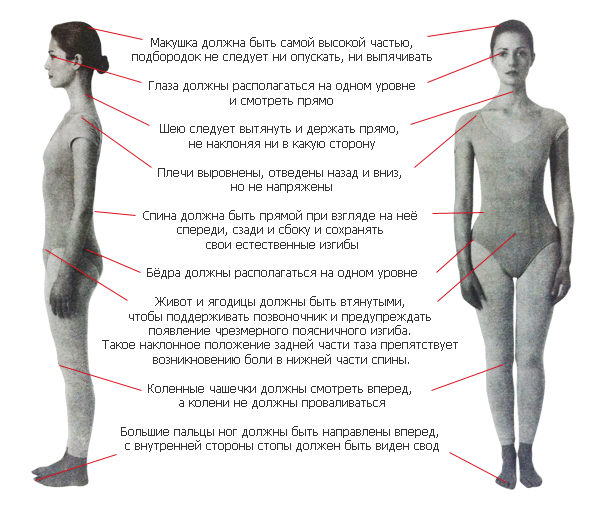 Правильная осанка