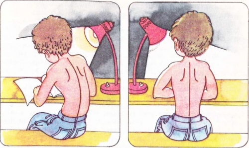 Правильное положение осанки за столом Правильное положение осанки за столом