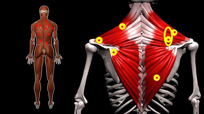 Болит спина между лопатками как жжет