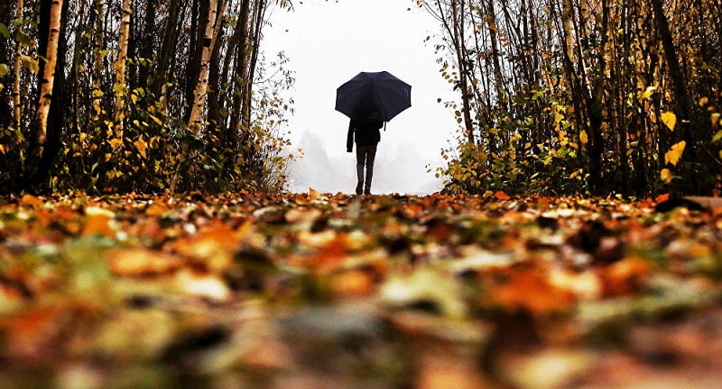 Утренняя прогулка помогает против головной боли после алкоголя Утренняя прогулка помогает против головной боли после алкоголя